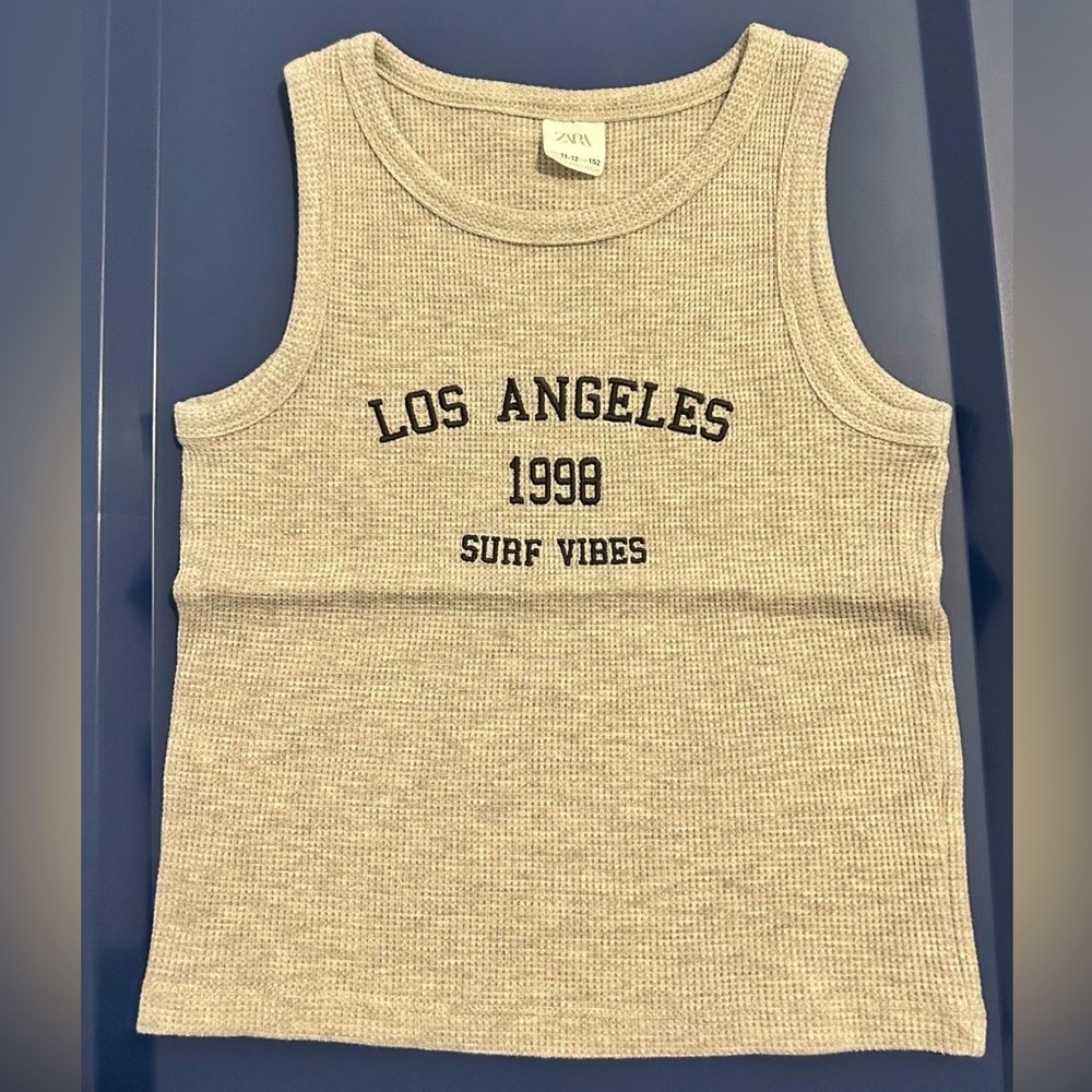 Zara Waffle Knit Gray Top